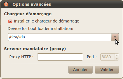installation_sur_disque_usb_installer_chargeur_de_demarrage.png