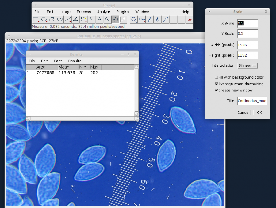 imagej_1.52r_xubuntu_20.04.png